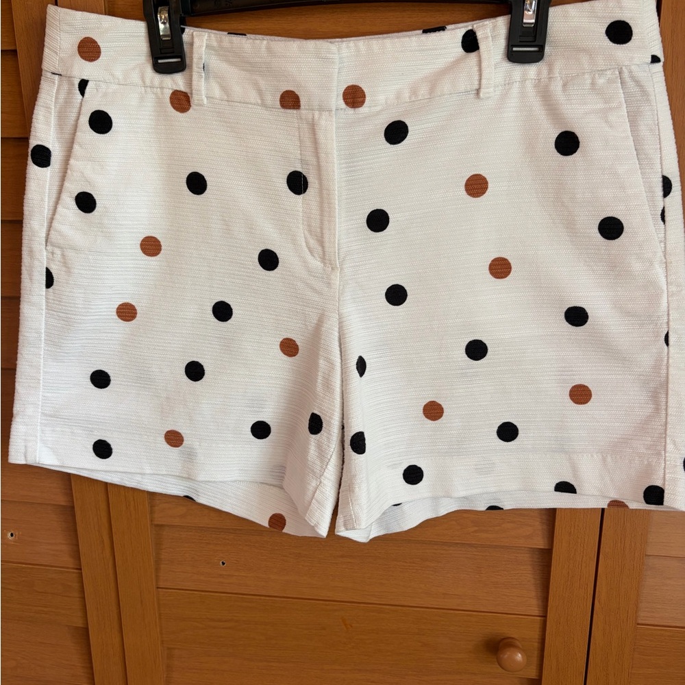 Ann Taylor White Polka Dot Shorts in Black & Brown